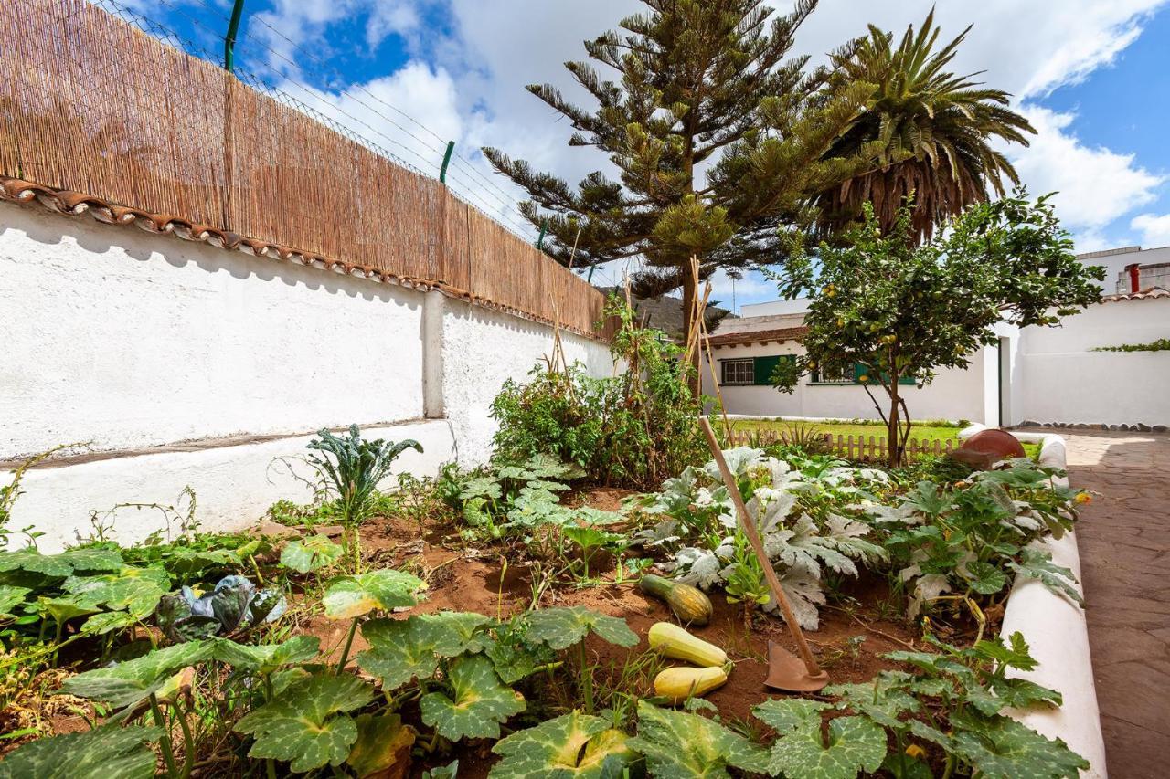 Hostel Patio (adults Only) San Cristóbal de La Laguna